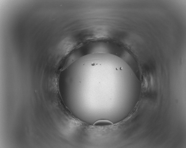 X0000064770045200602242011