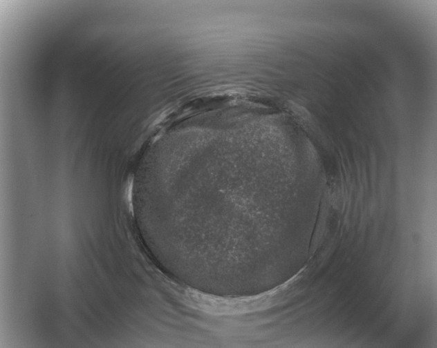 X0000064770047200602242010