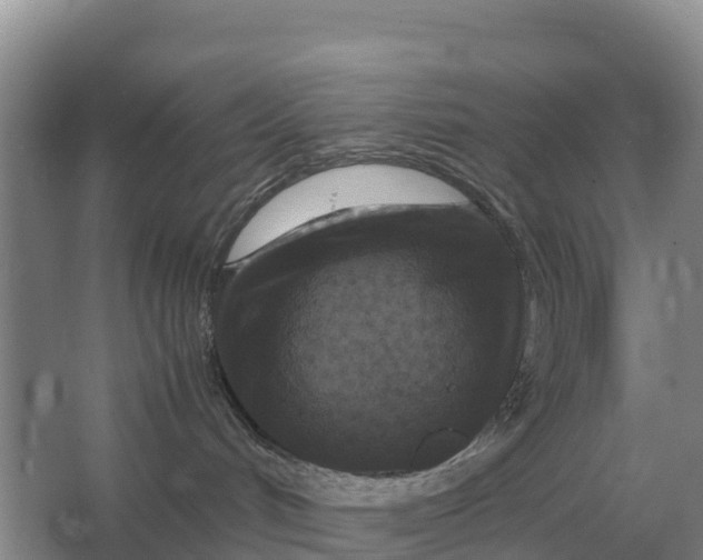 X0000064770048200602242010