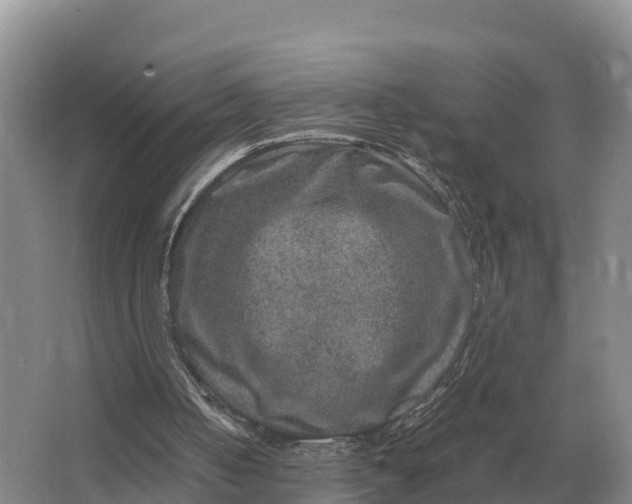 X0000064770050200602242009