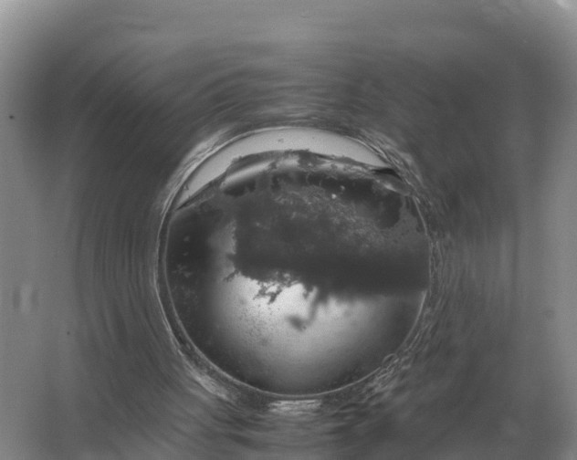 X0000064770051200602242009