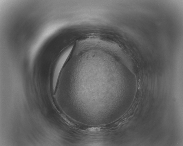 X0000064770052200602242009