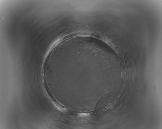 X0000064770053200602242009