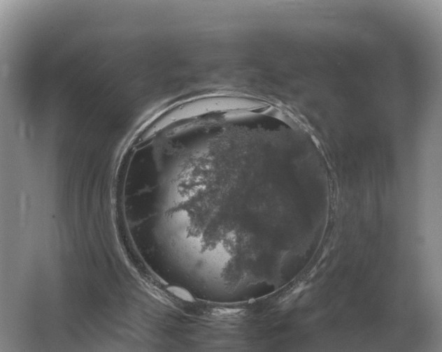 X0000064770055200602242009