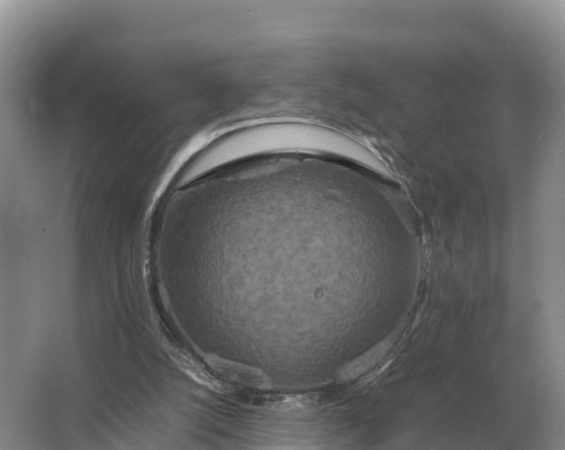 X0000064770056200602242009