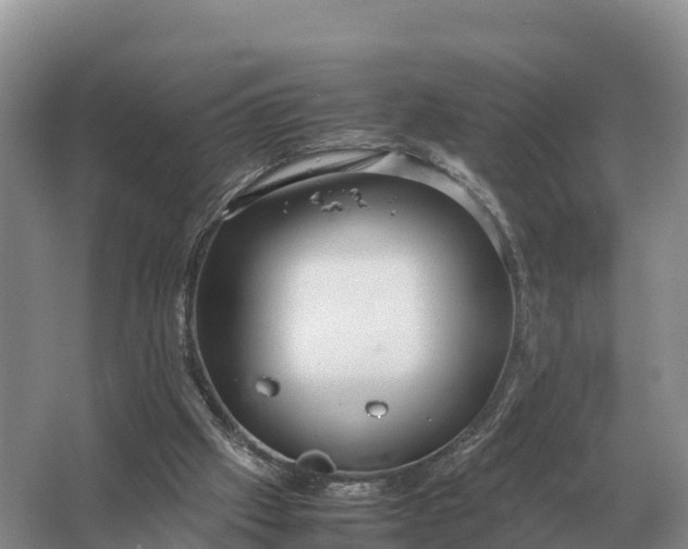 X0000064770057200602242009