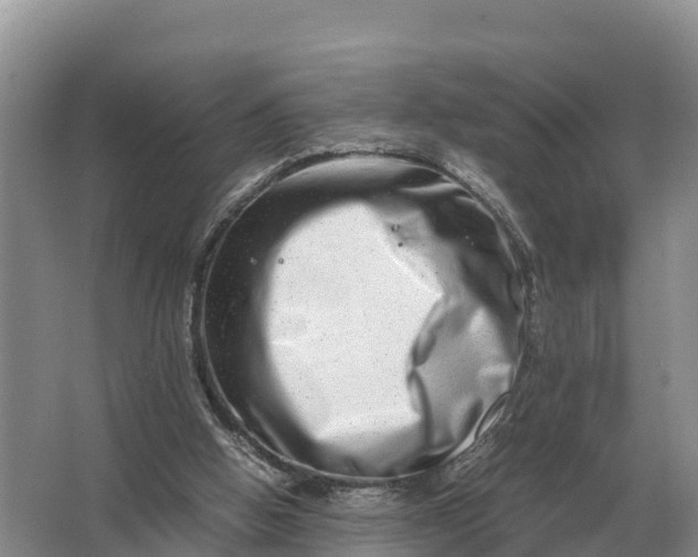 X0000064770058200602242009