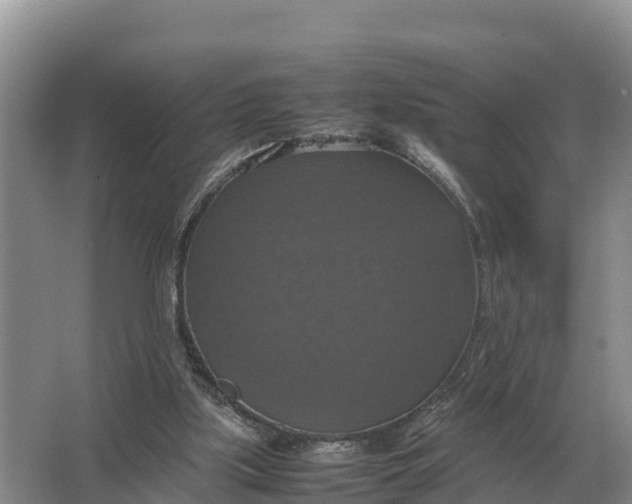 X0000064770059200602242010