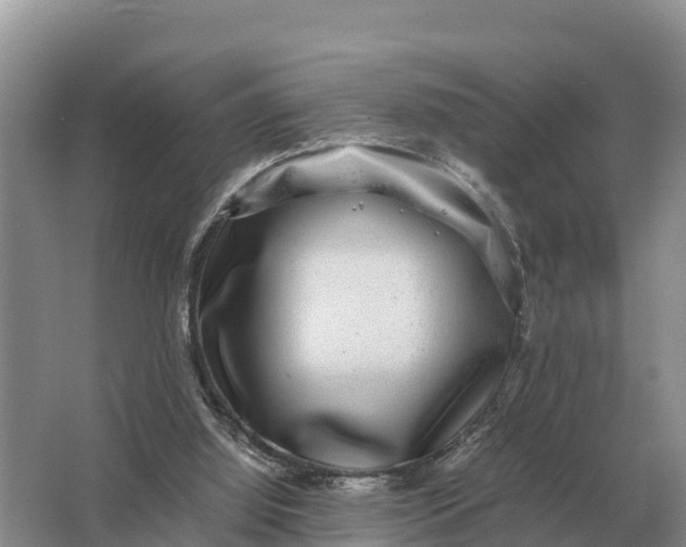 X0000064770060200602242010