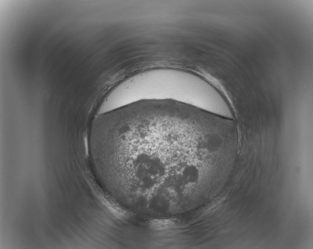 X0000064770061200602242010