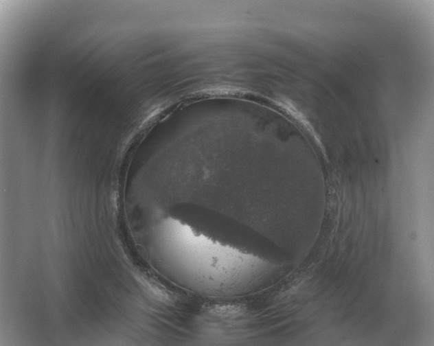 X0000064770063200602242010