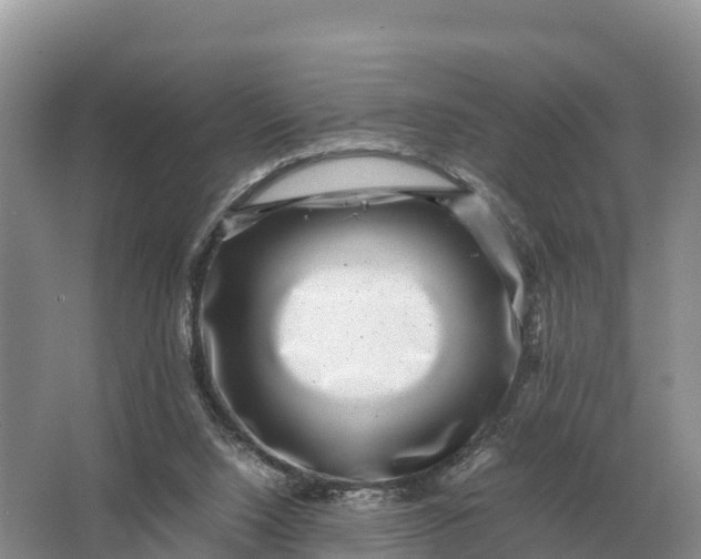 X0000064770064200602242010