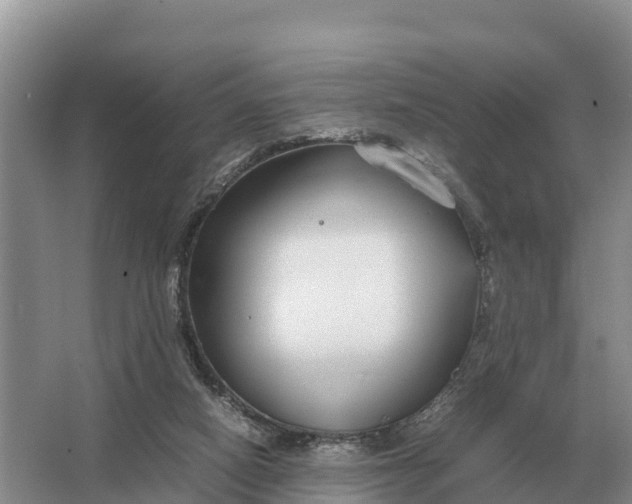 X0000064770066200602242010