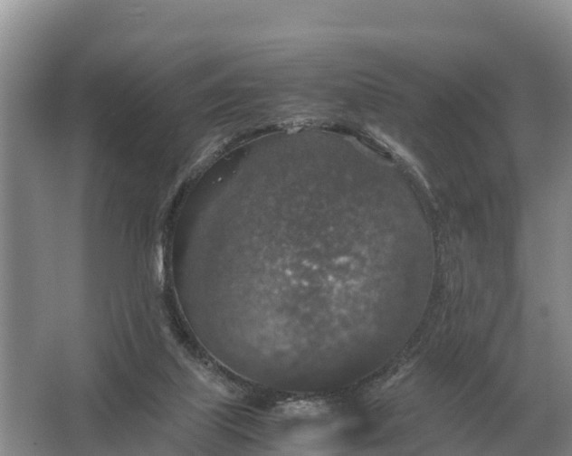 X0000064770067200602242010