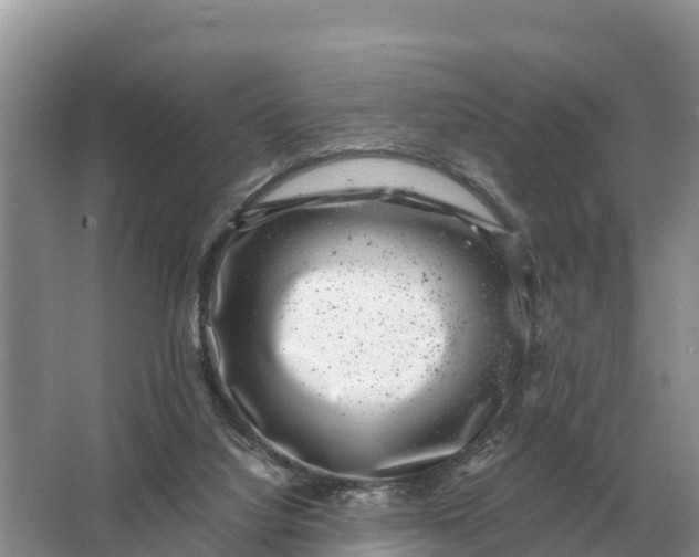 X0000064770068200602242010