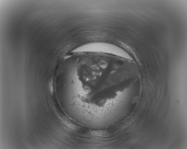 X0000064770069200602242010