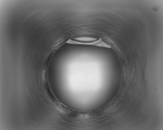 X0000064770071200602242010