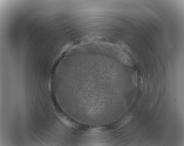 X0000064770072200602242010