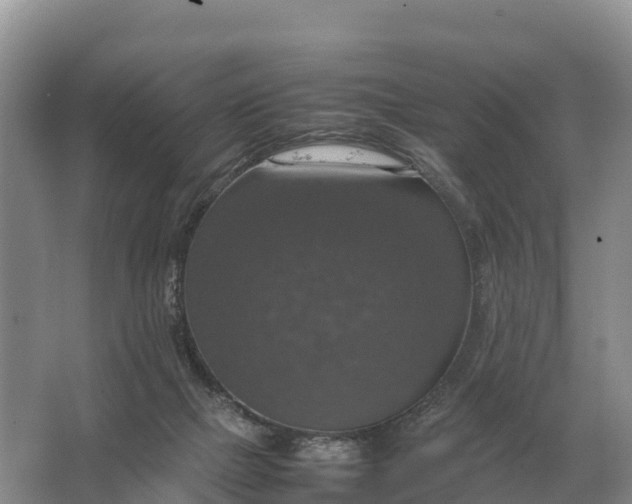 X0000064770073200602242010