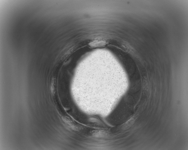 X0000064770074200602242010