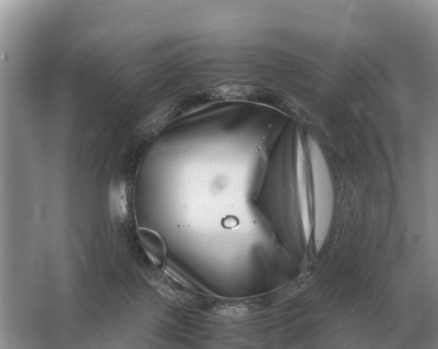 X0000064770075200602242010