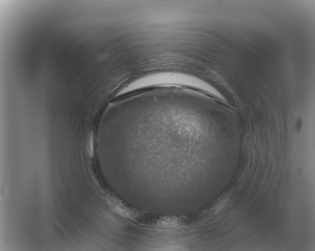 X0000064770076200602242010