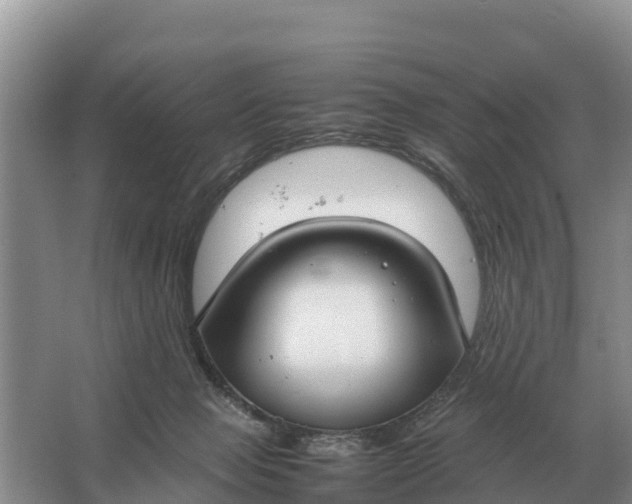 X0000064770077200602242010