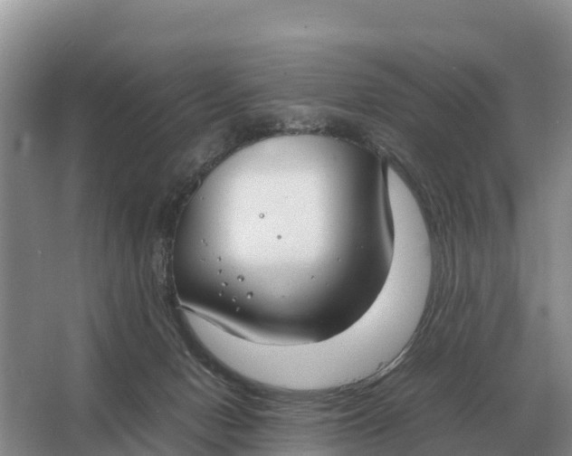 X0000064770078200602242010