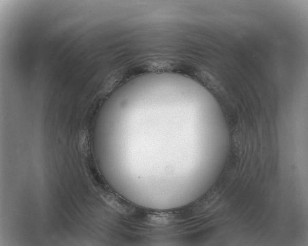 X0000064770079200602242010