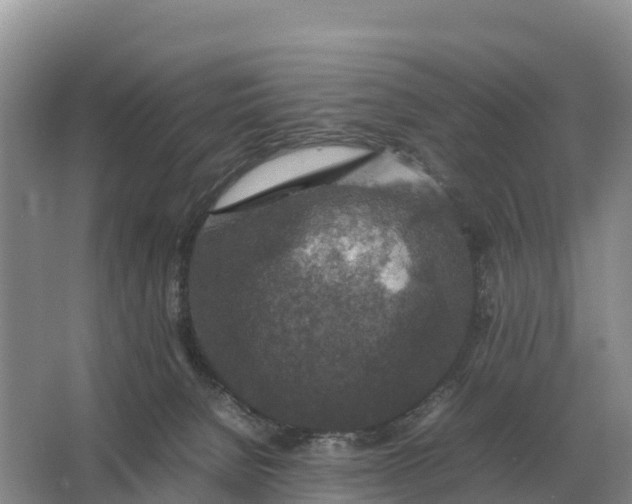 X0000064770080200602242010