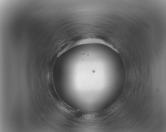 X0000064770084200602242010