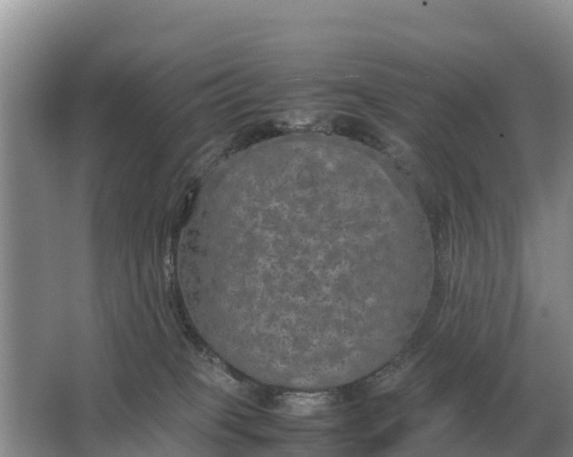 X0000064770085200602242010