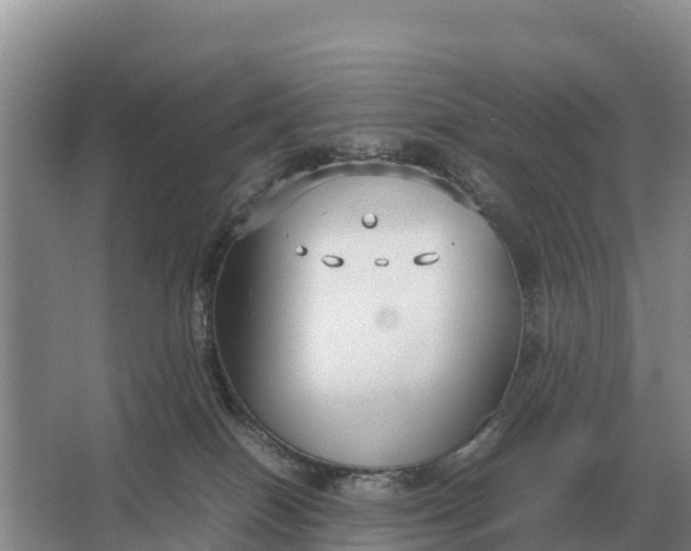 X0000064770086200602242010