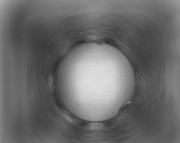 X0000064770087200602242010