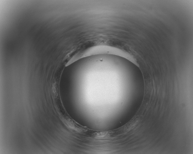 X0000064770088200602242010