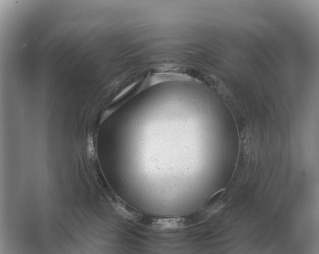 X0000064770089200602242010