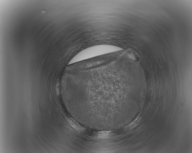 X0000064770090200602242010