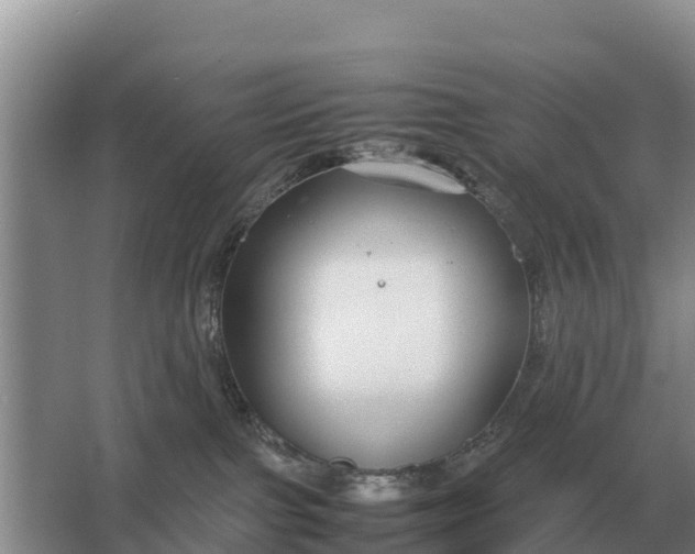 X0000064770091200602242010