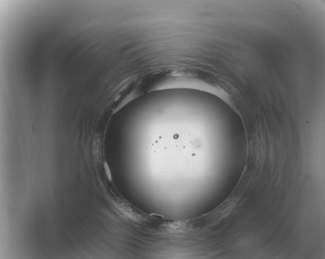 X0000064770092200602242010