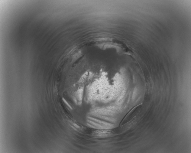 X0000064770093200602242010