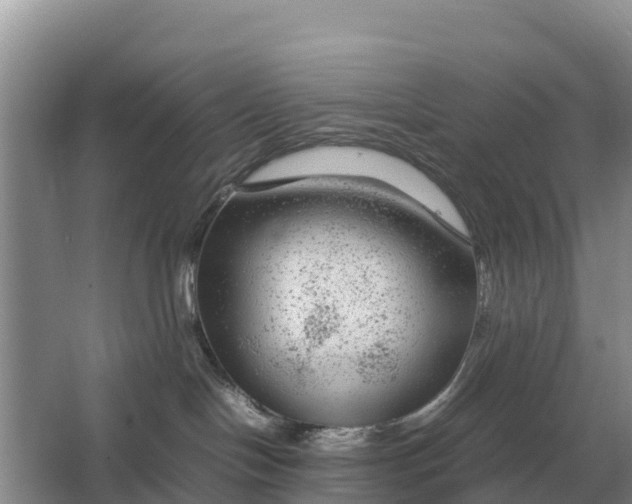 X0000064770094200602242010