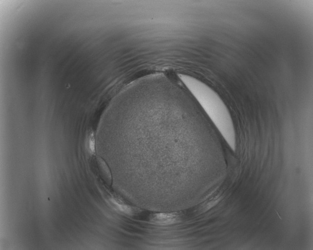 X0000064770095200602242010