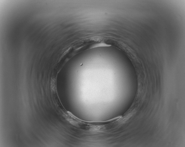 X0000064770096200602242010