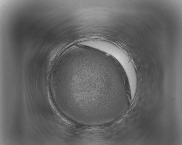 X0000064770097200602242009