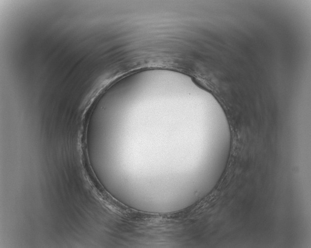 X0000064770098200602242009