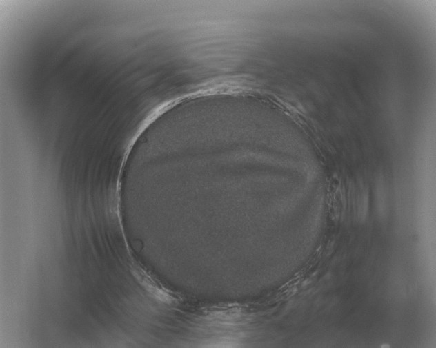 X0000064770100200602242009