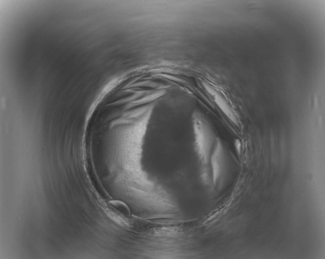 X0000064770102200602242009