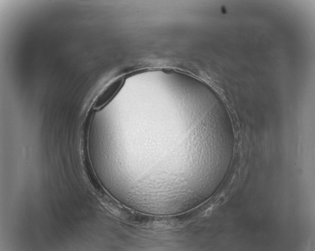 X0000064770103200602242009