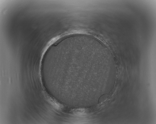 X0000064770104200602242009