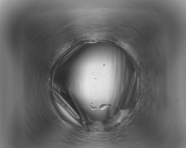 X0000064770105200602242009